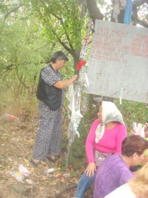 Musulmanii îşi leagă obiecte personale în copacii de lângă mormântul lui Koyun Baba